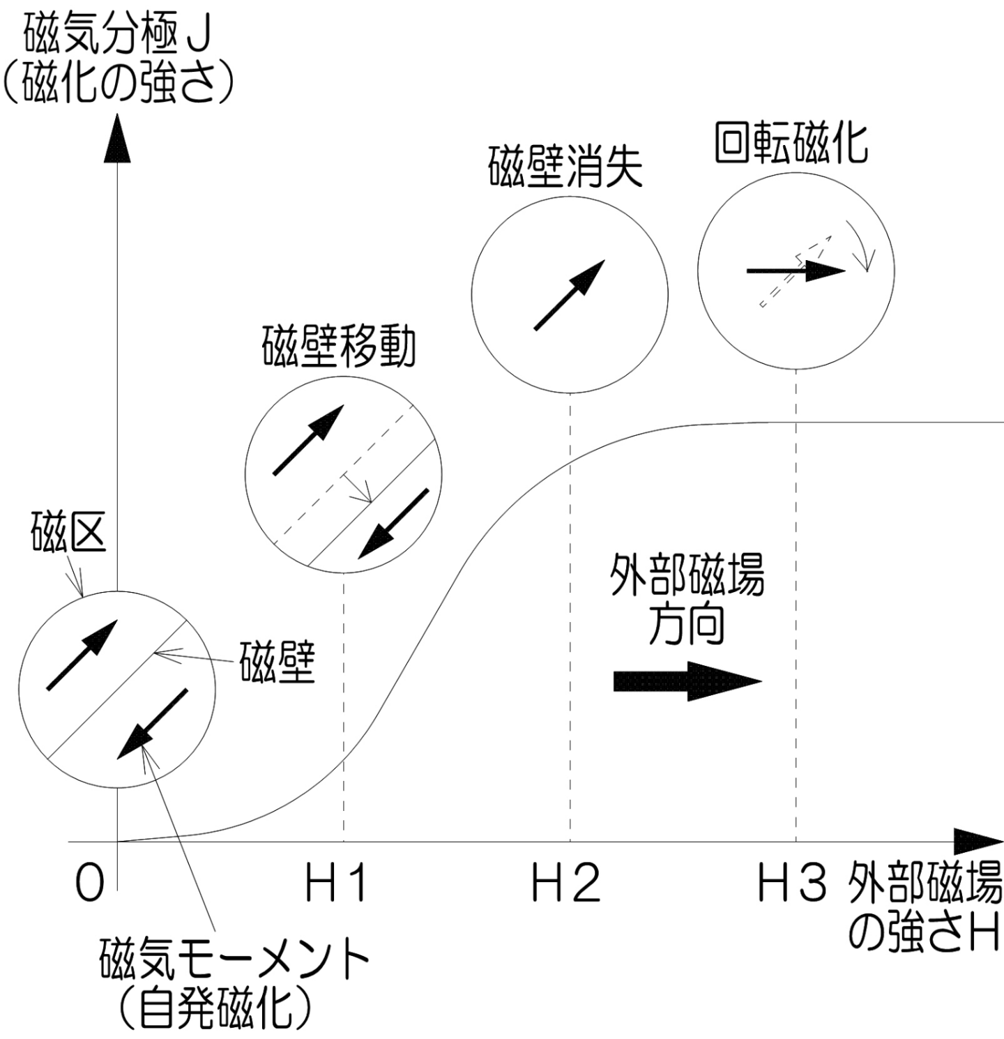 磁化過程