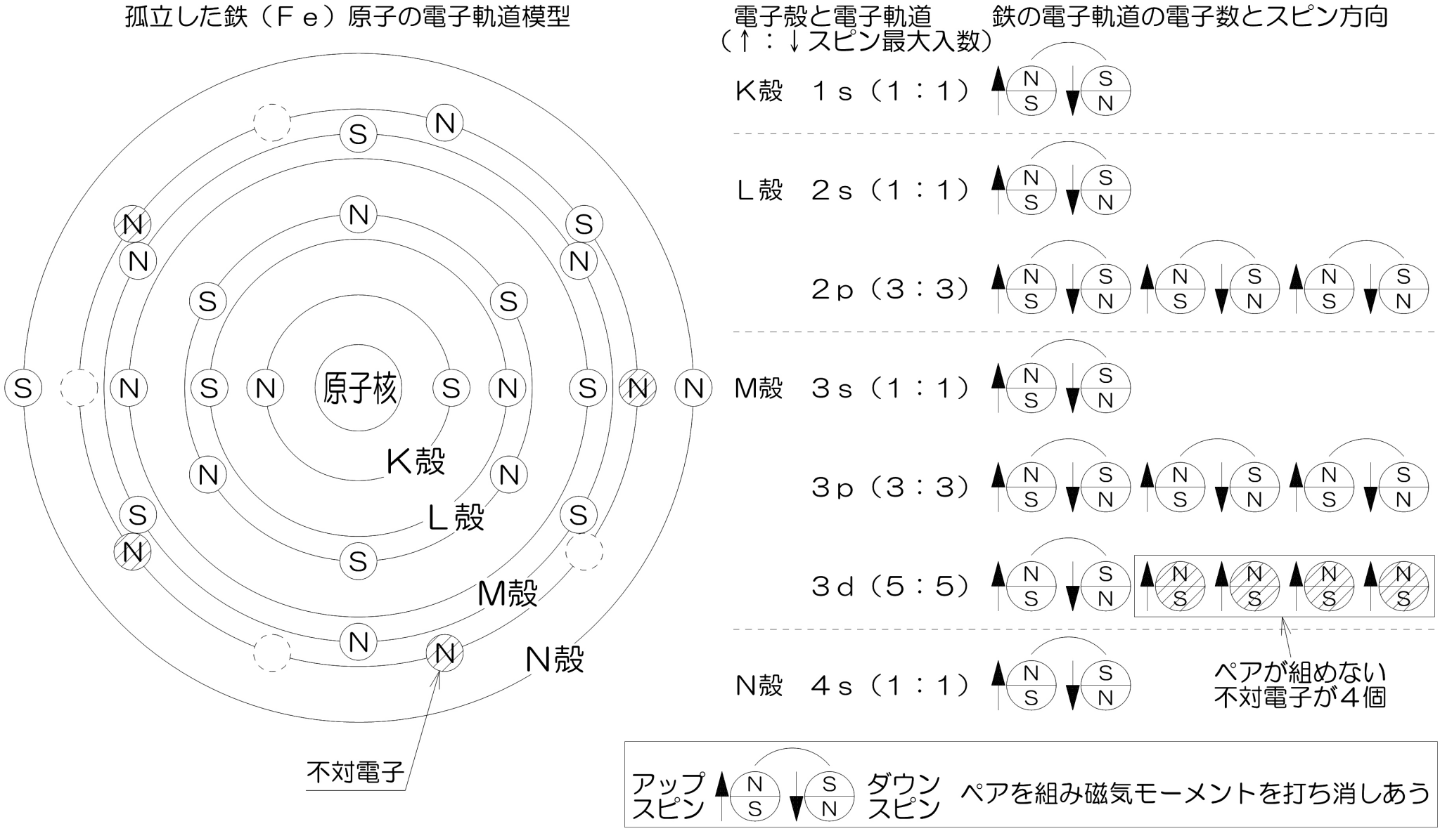 鉄の電子軌道模型とスピン方向